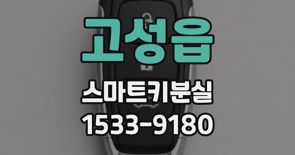 고성읍 스마트키분실