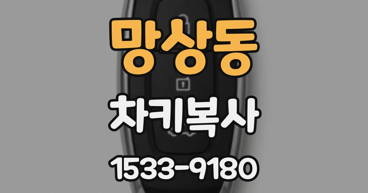망상동 차키복사