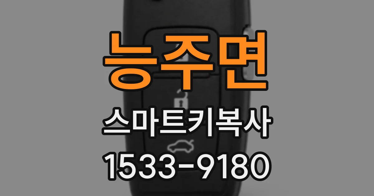 능주면 스마트키복사