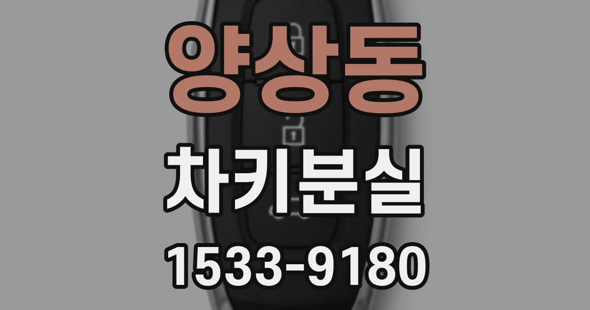 양상동 차키분실