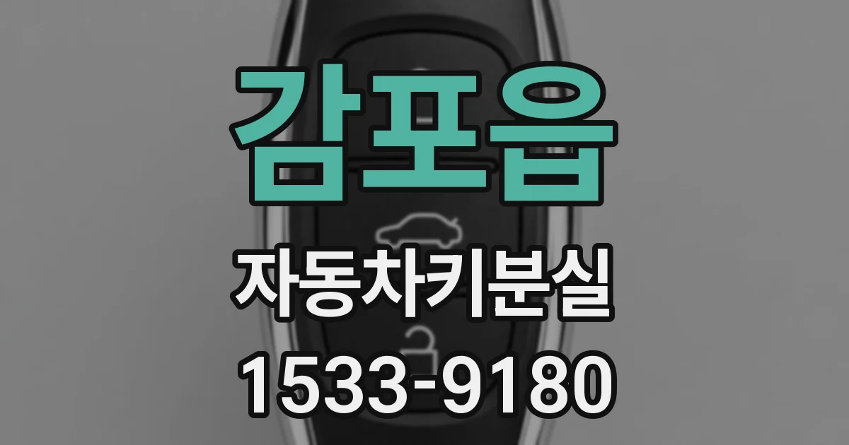 감포읍 자동차키분실