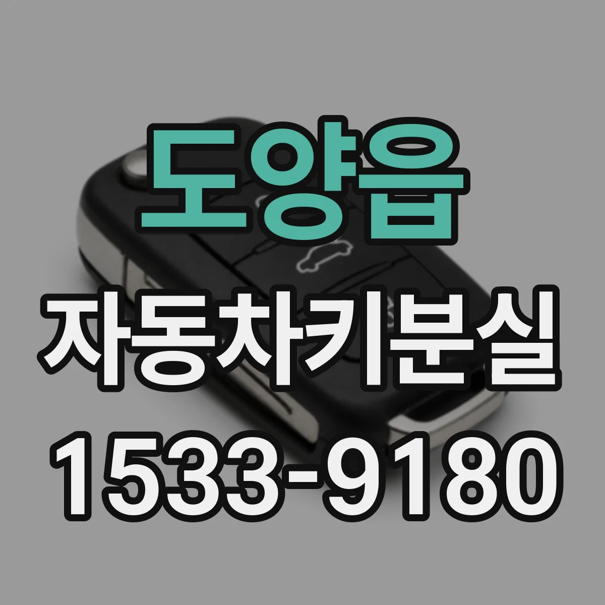 도양읍 자동차키분실