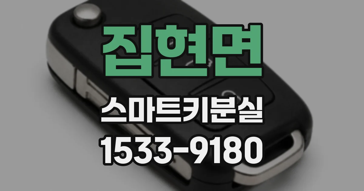 집현면 스마트키분실