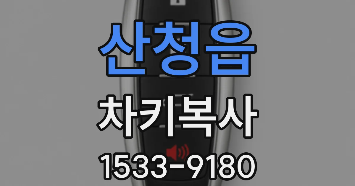 산청읍 차키복사