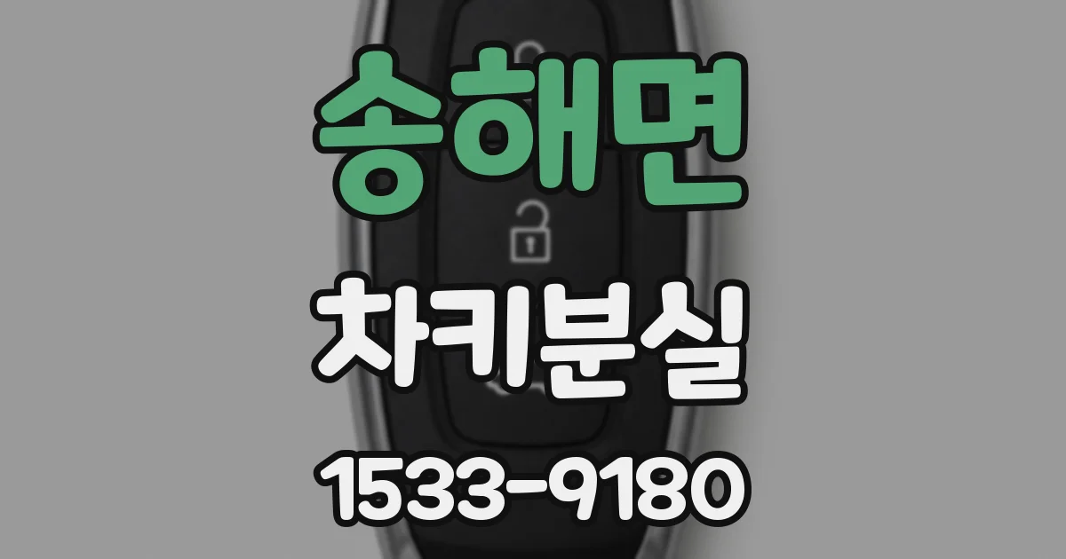송해면 차키분실
