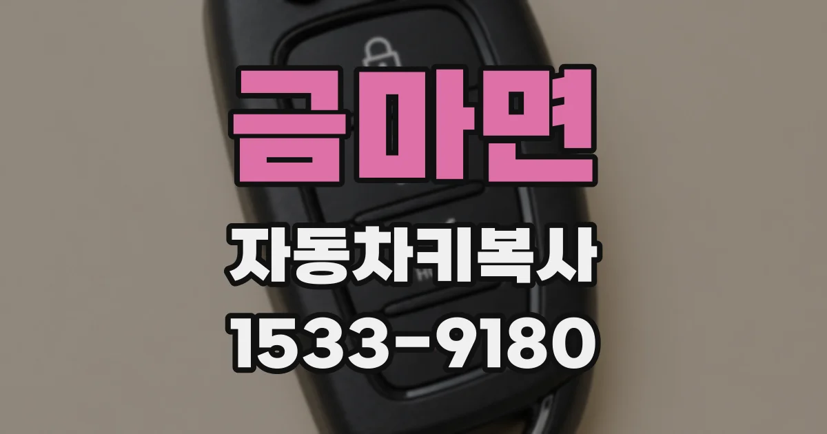 금마면 자동차키복사