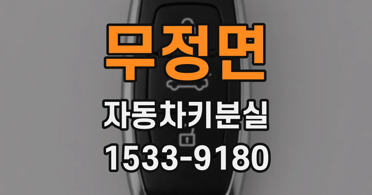 무정면 자동차키분실