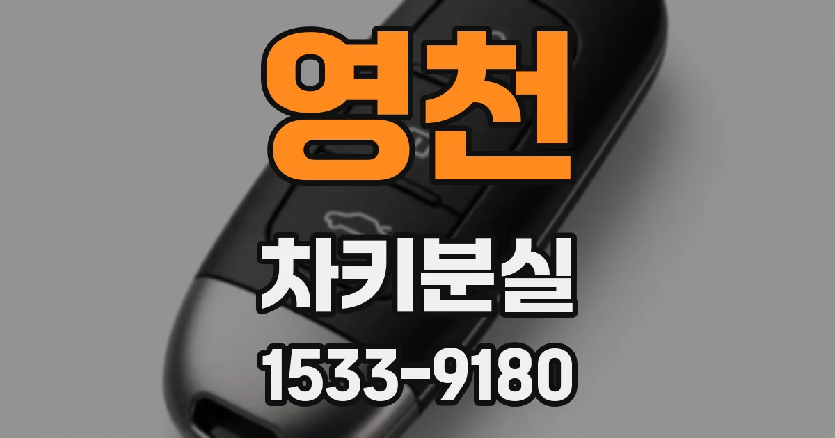영천 차키분실