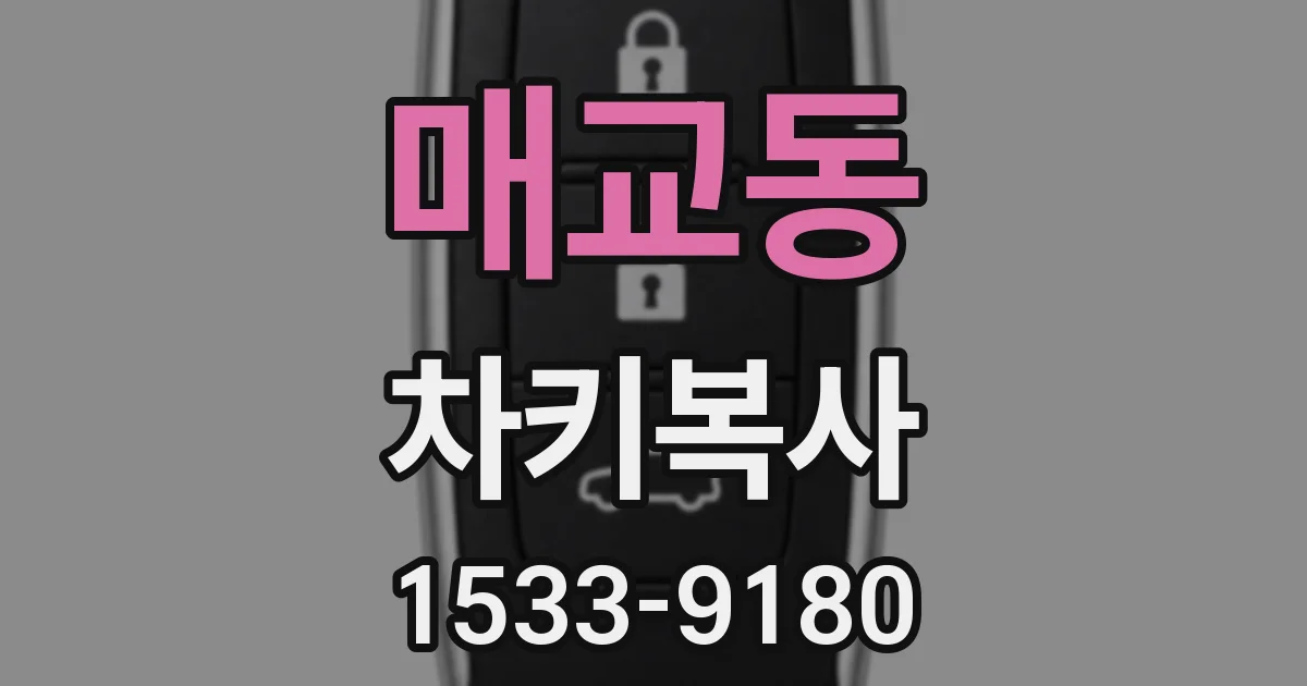 매교동 차키복사