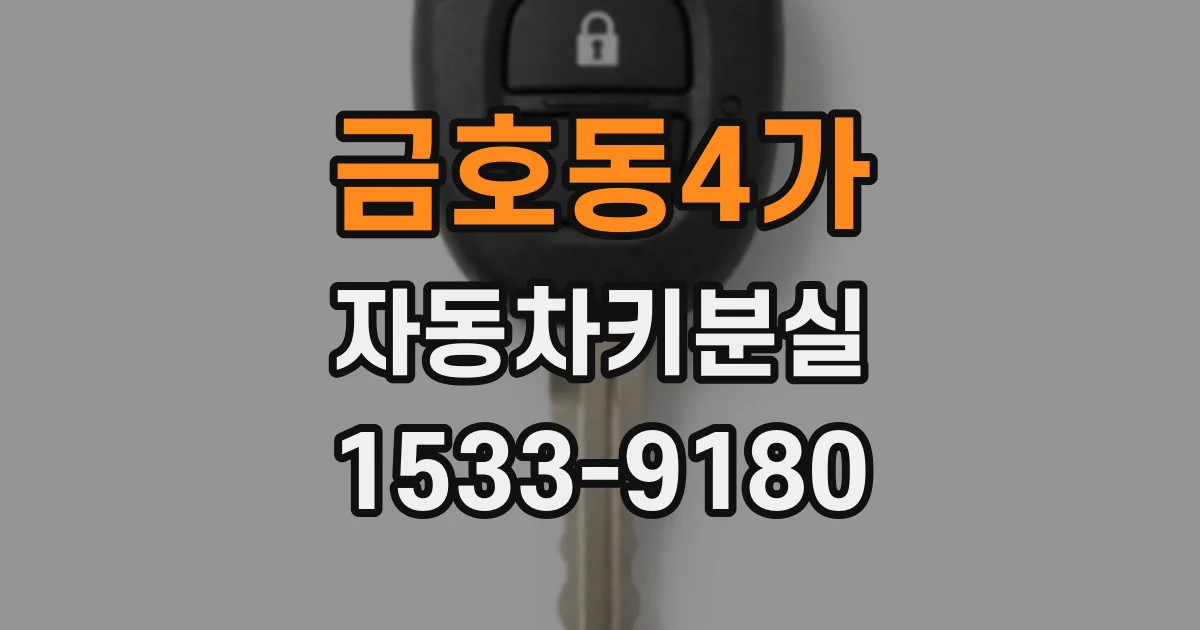 금호동4가 자동차키분실