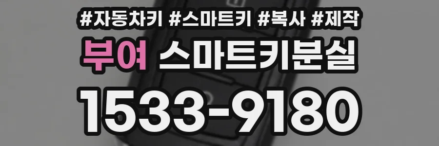 부여 스마트키분실