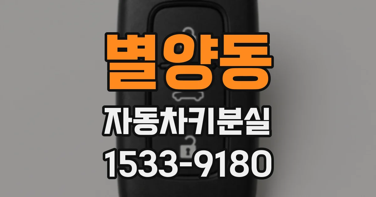 별양동 자동차키분실