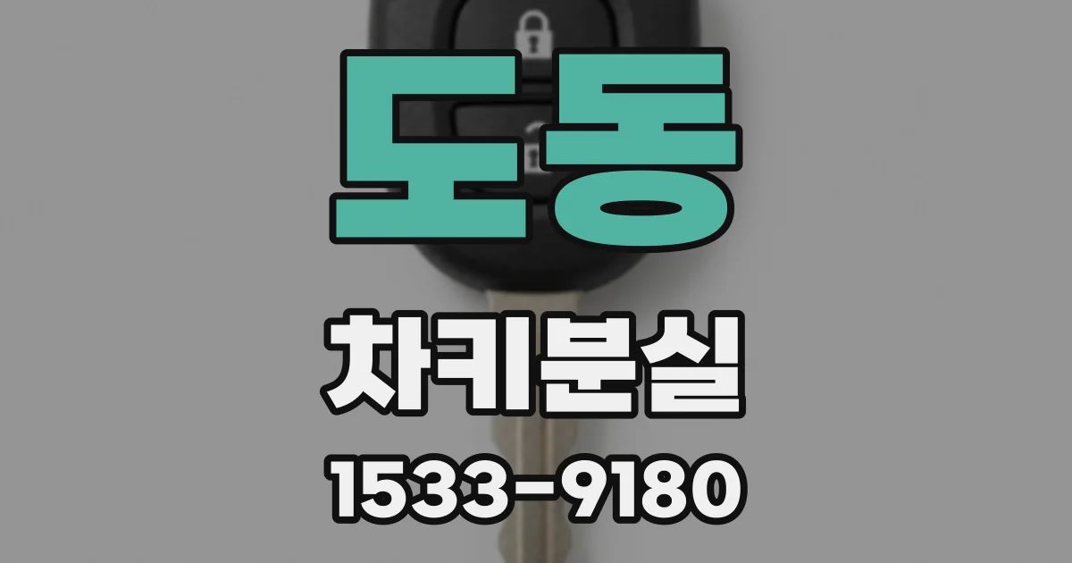 도동 차키분실