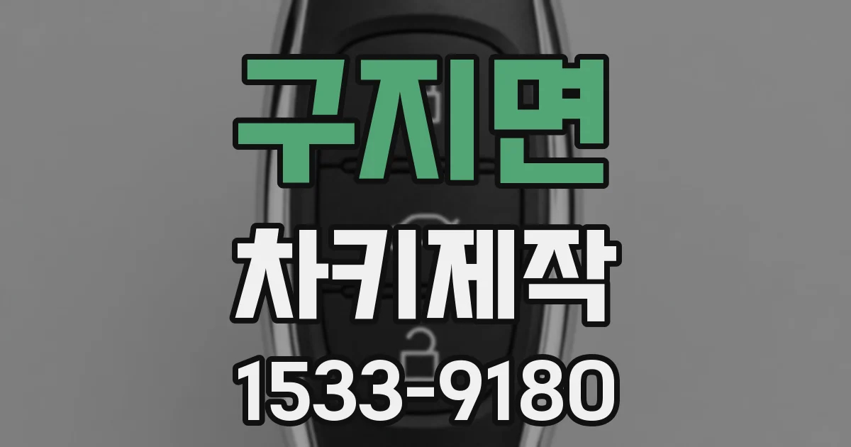 구지면 차키제작