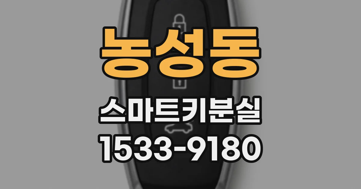 농성동 스마트키분실