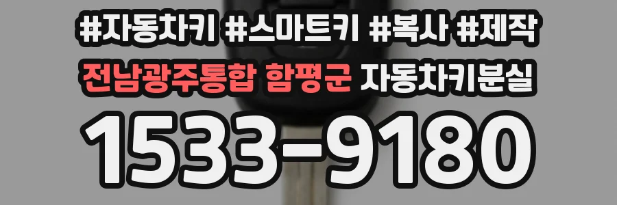 전남광주통합 함평군 자동차키분실