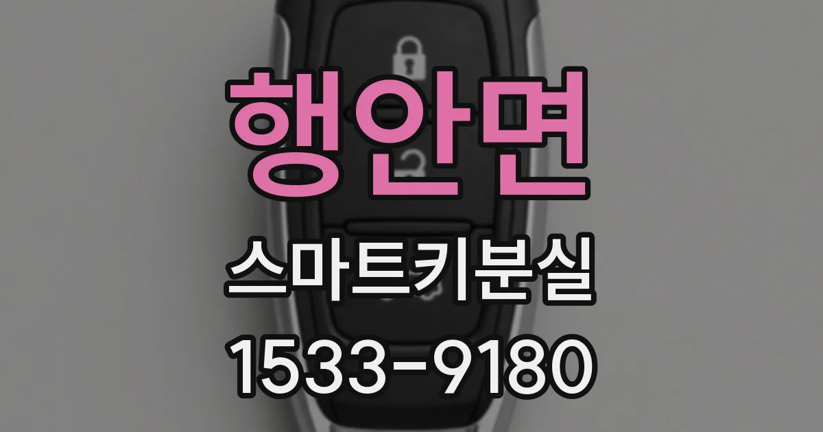 행안면 스마트키분실
