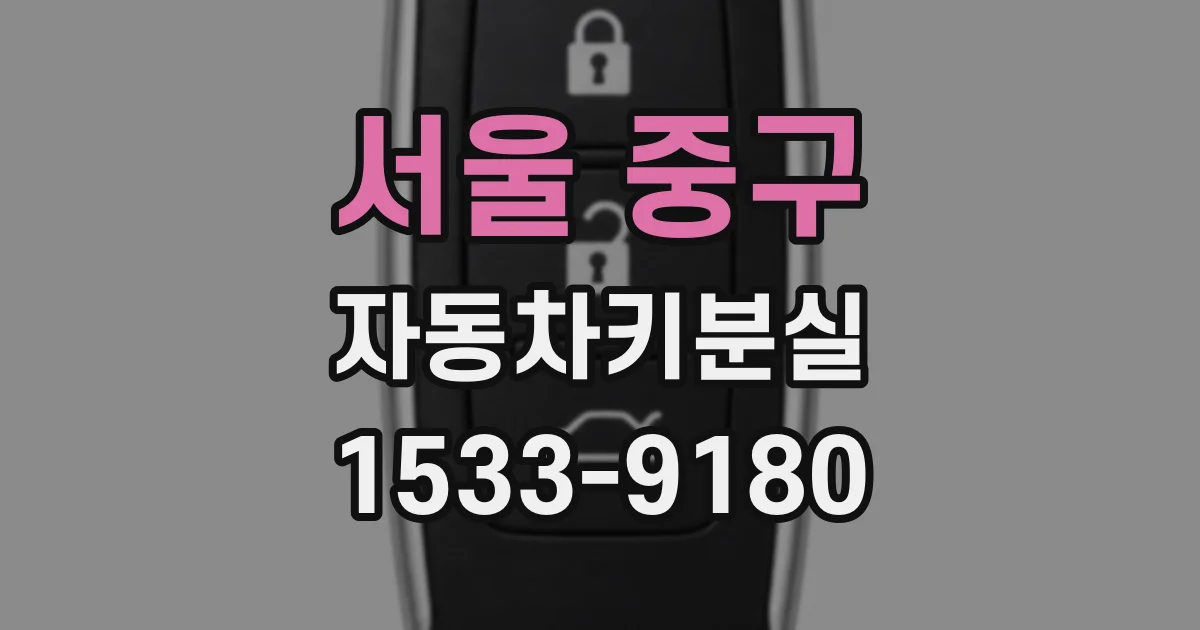 서울 중구 자동차키분실