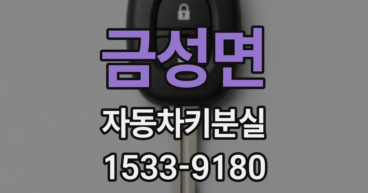 금성면 자동차키분실