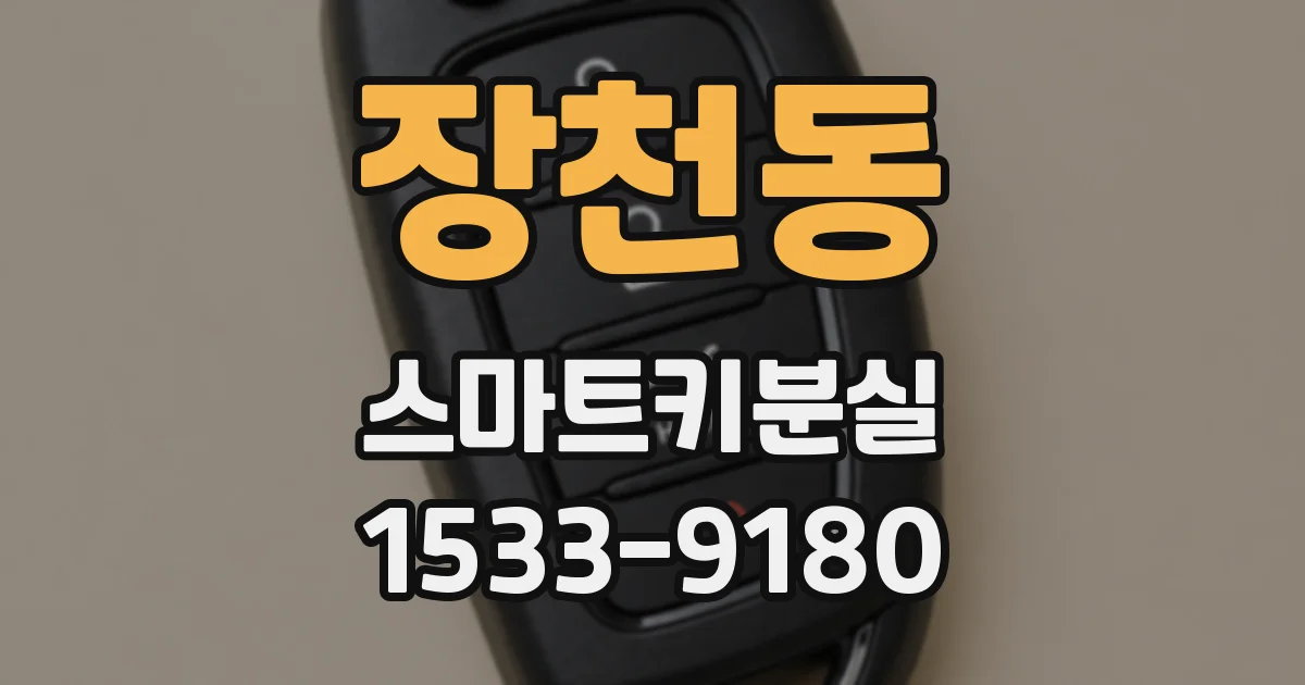 장천동 스마트키분실