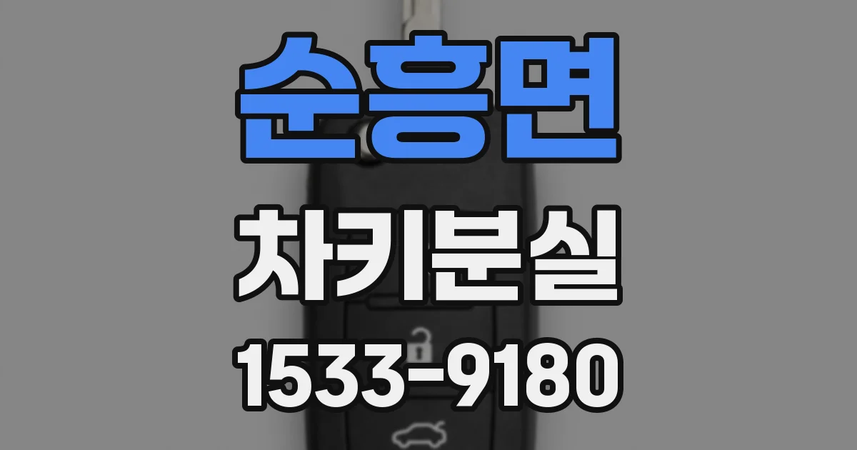순흥면 차키분실