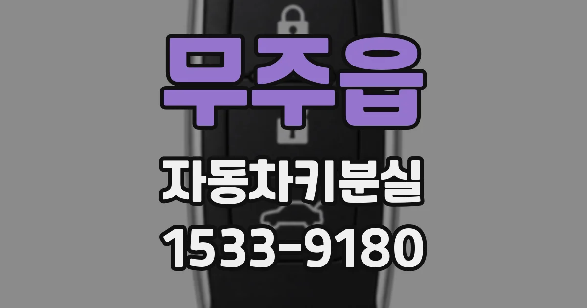 무주읍 자동차키분실