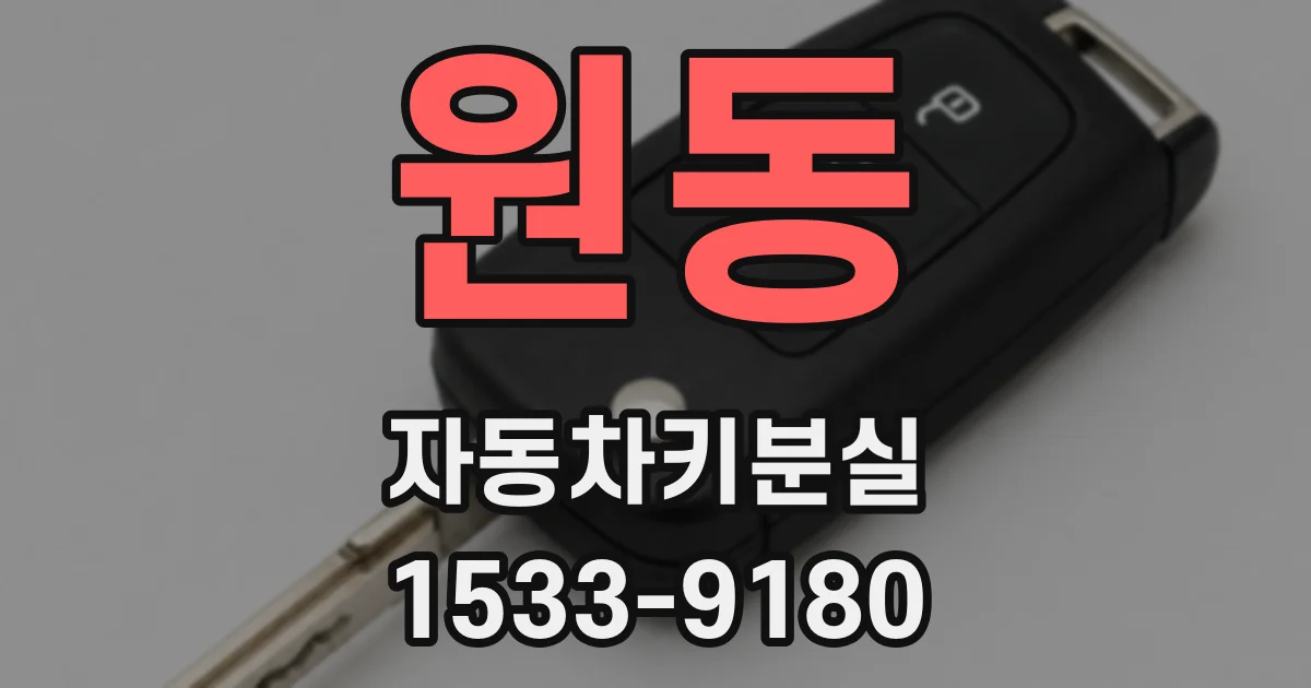 원동 자동차키분실