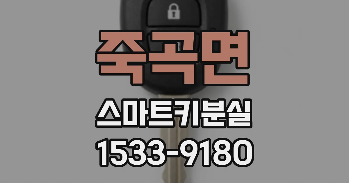 죽곡면 스마트키분실