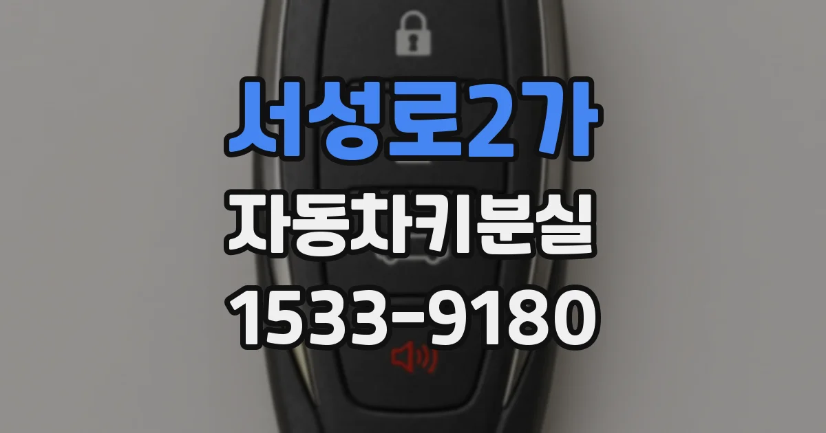 서성로2가 자동차키분실