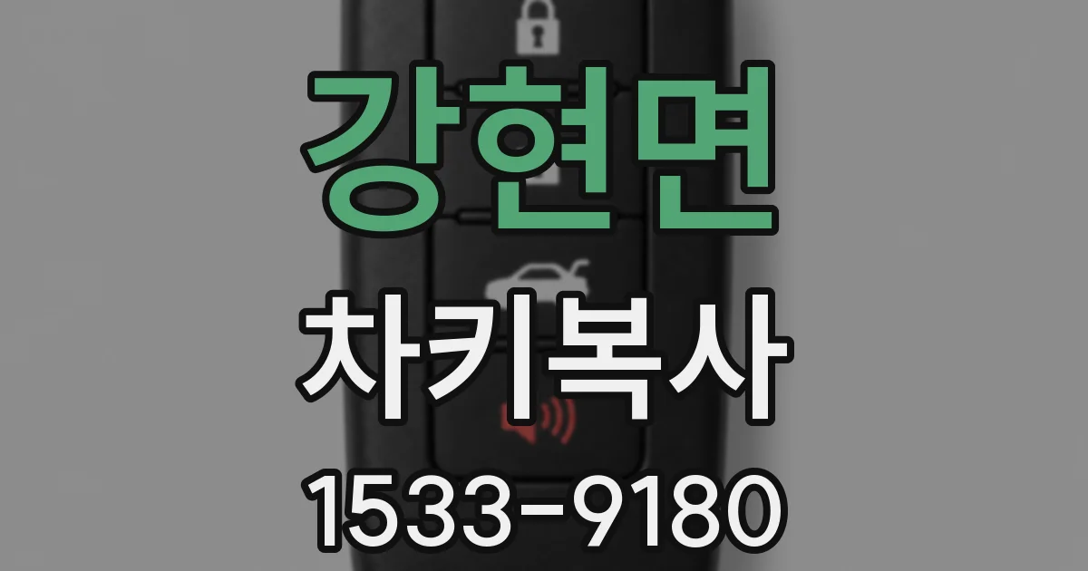 강현면 차키복사