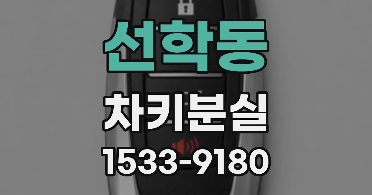 선학동 차키분실