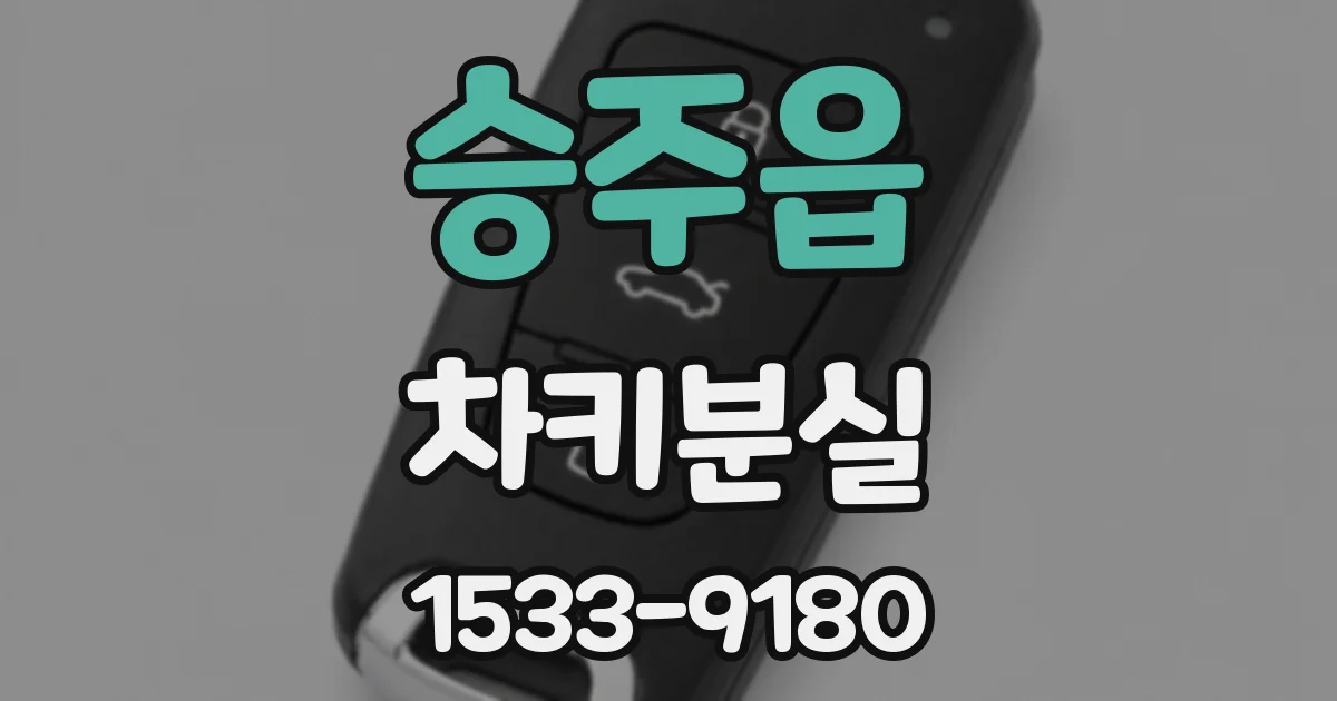 승주읍 차키분실