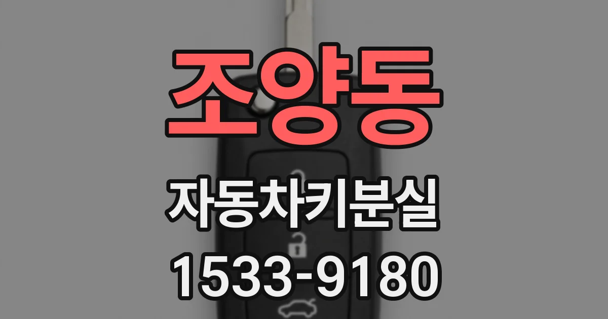 조양동 자동차키분실