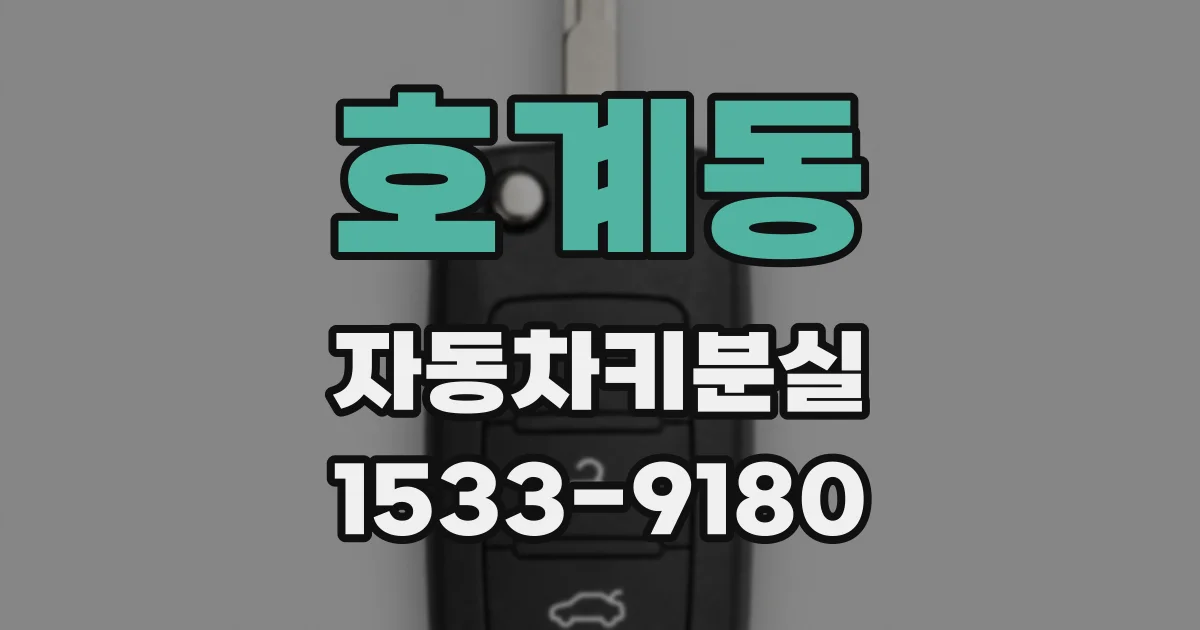 호계동 자동차키분실