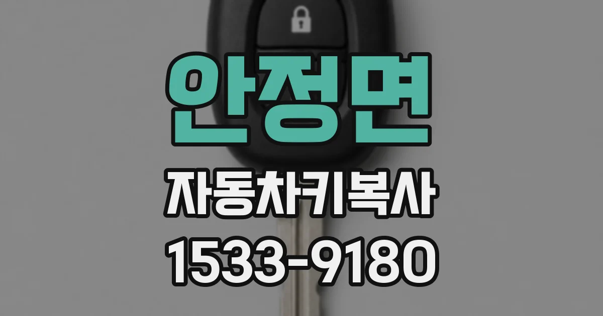 안정면 자동차키복사