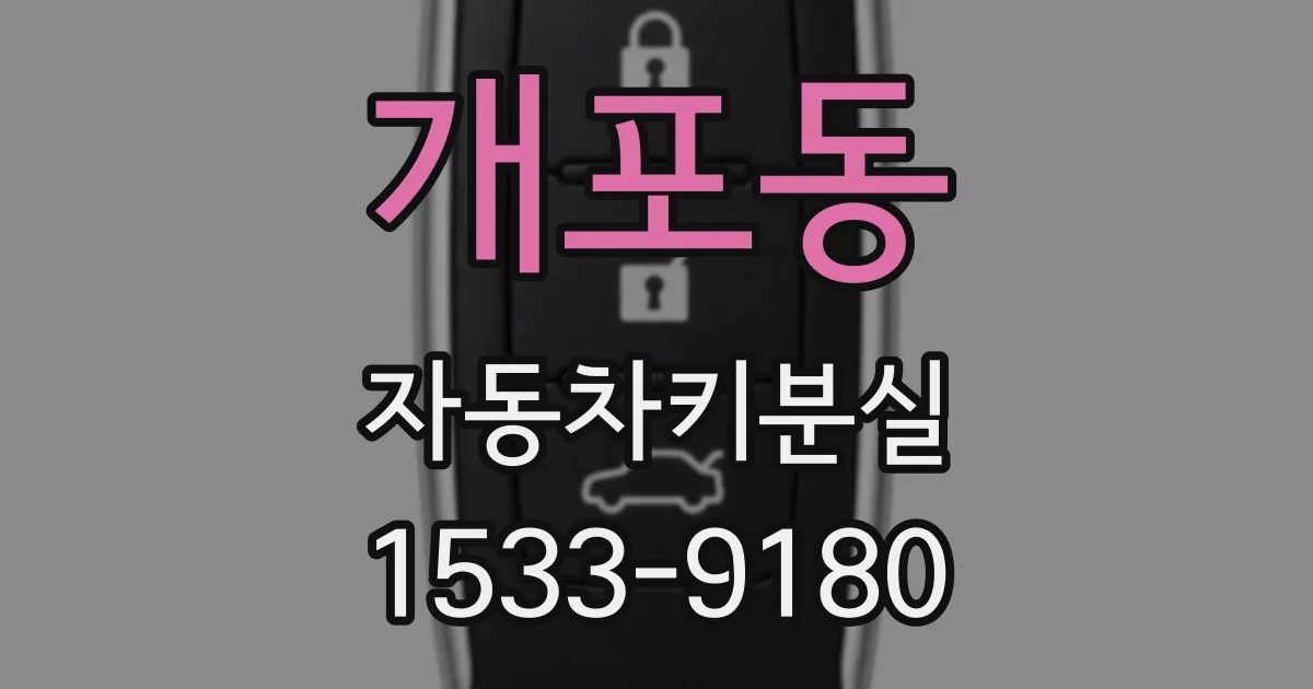 개포동 자동차키분실
