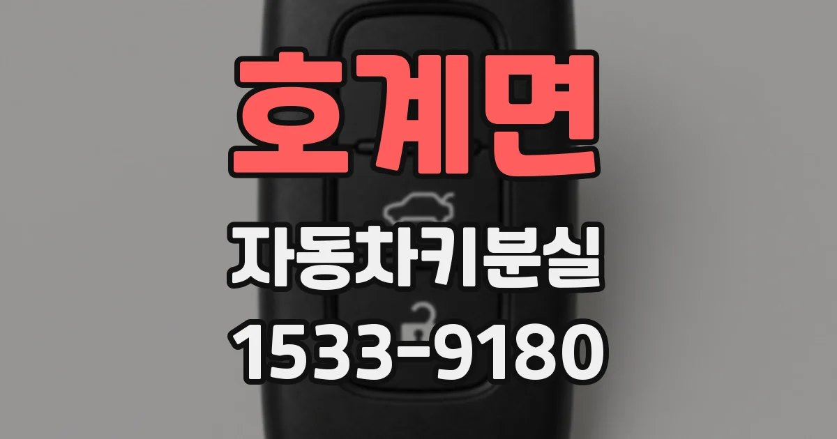 호계면 자동차키분실