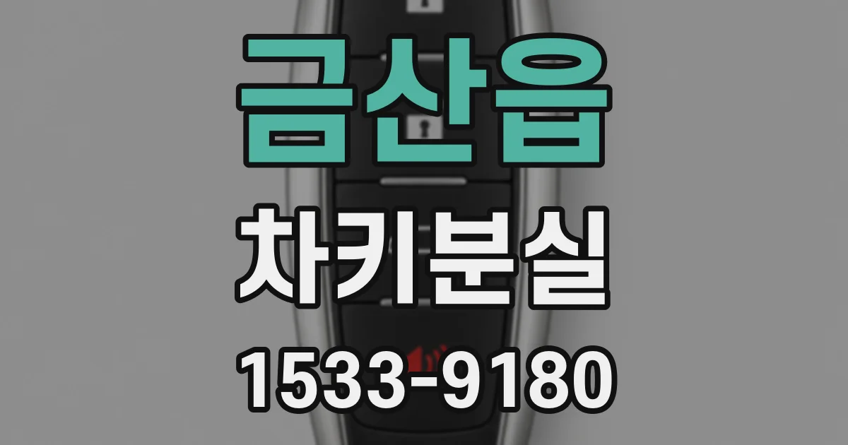금산읍 차키분실