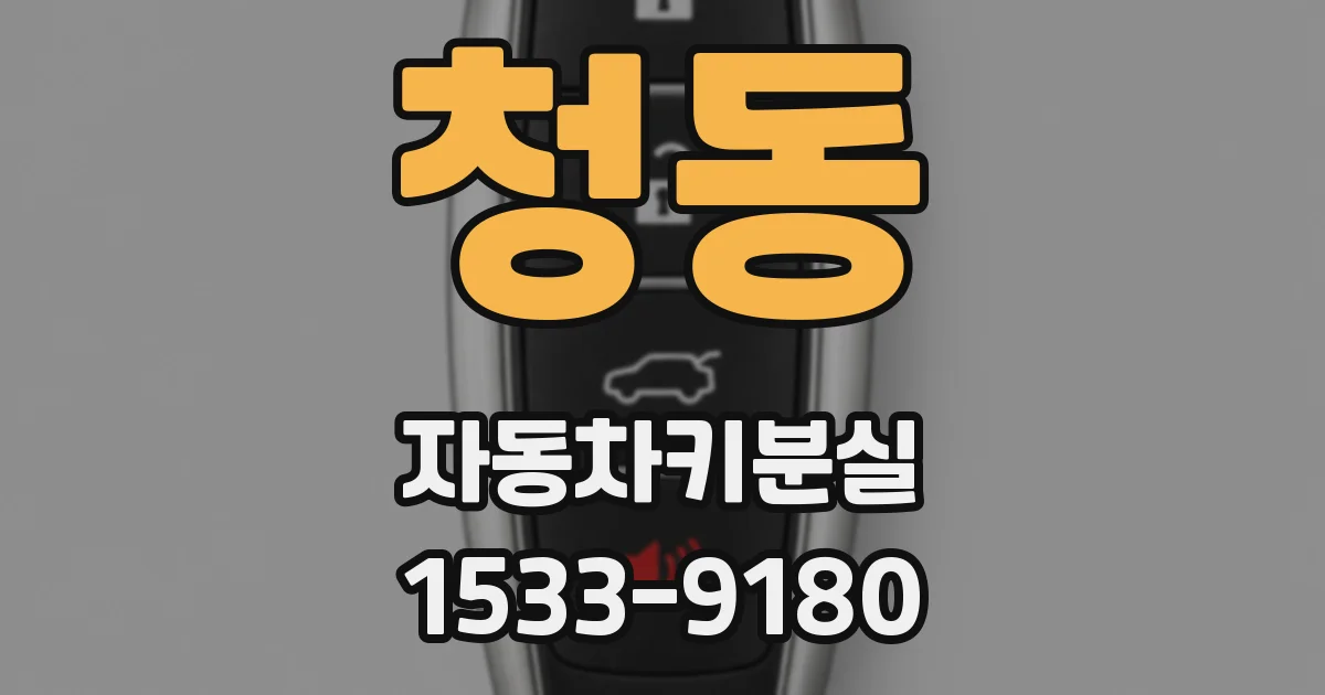 청동 자동차키분실