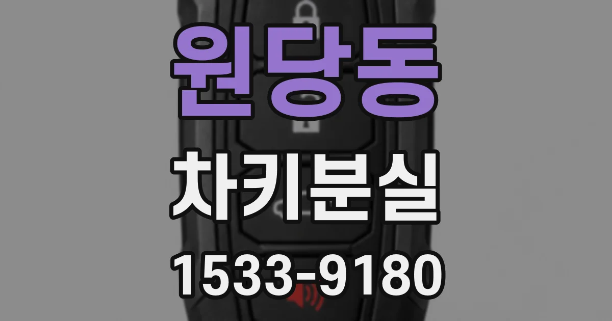 원당동 차키분실