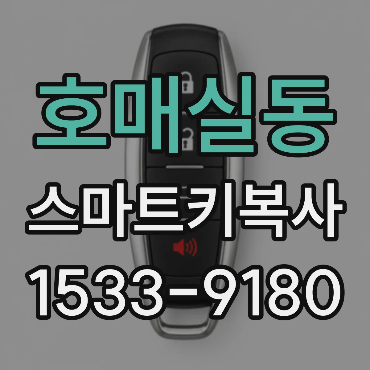 호매실동 스마트키복사