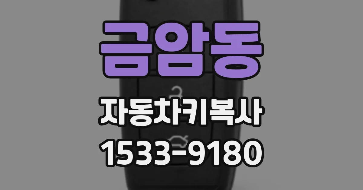 금암동 자동차키복사