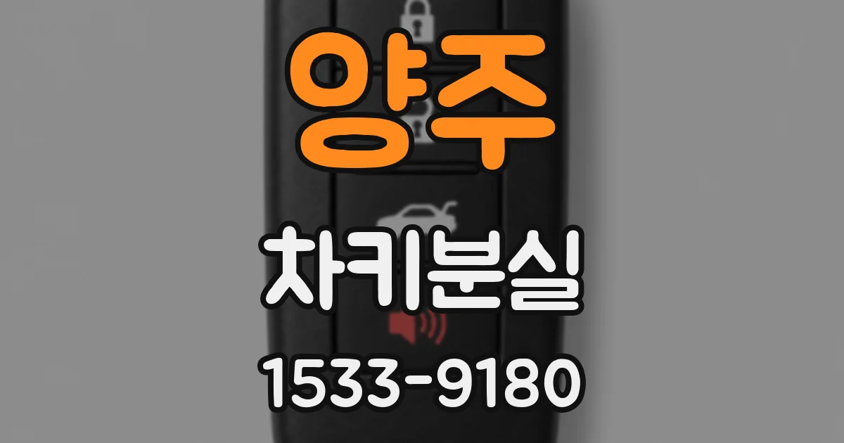 양주 차키분실