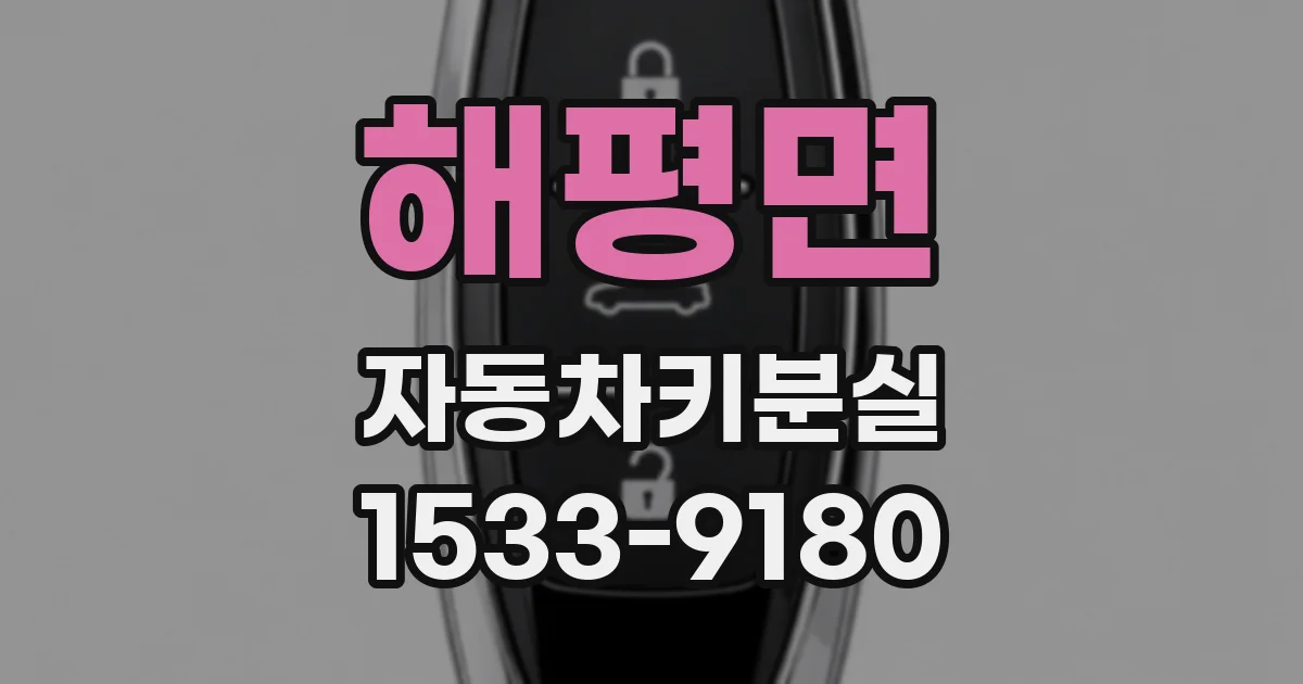 해평면 자동차키분실