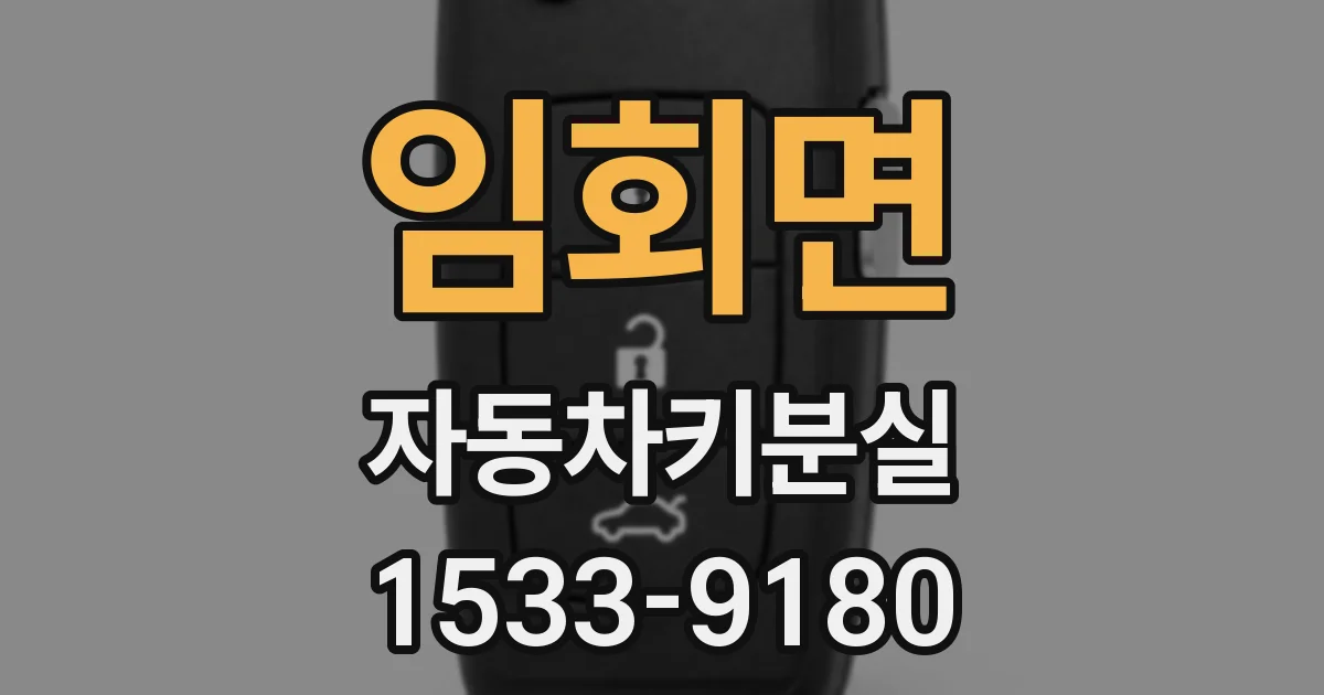 임회면 자동차키분실