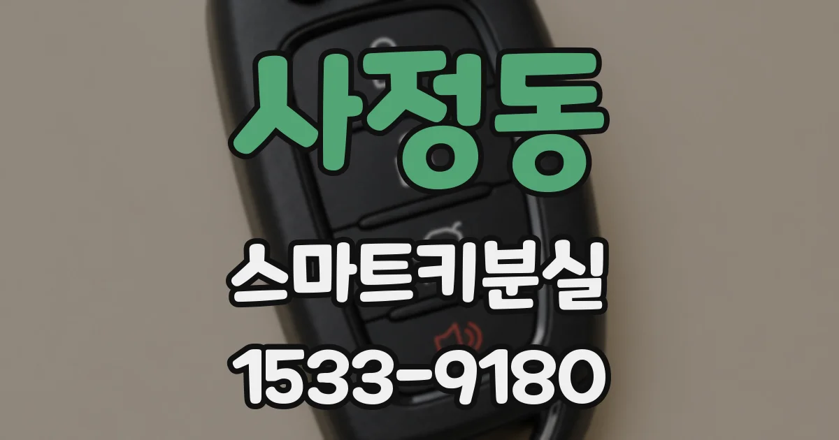 사정동 스마트키분실