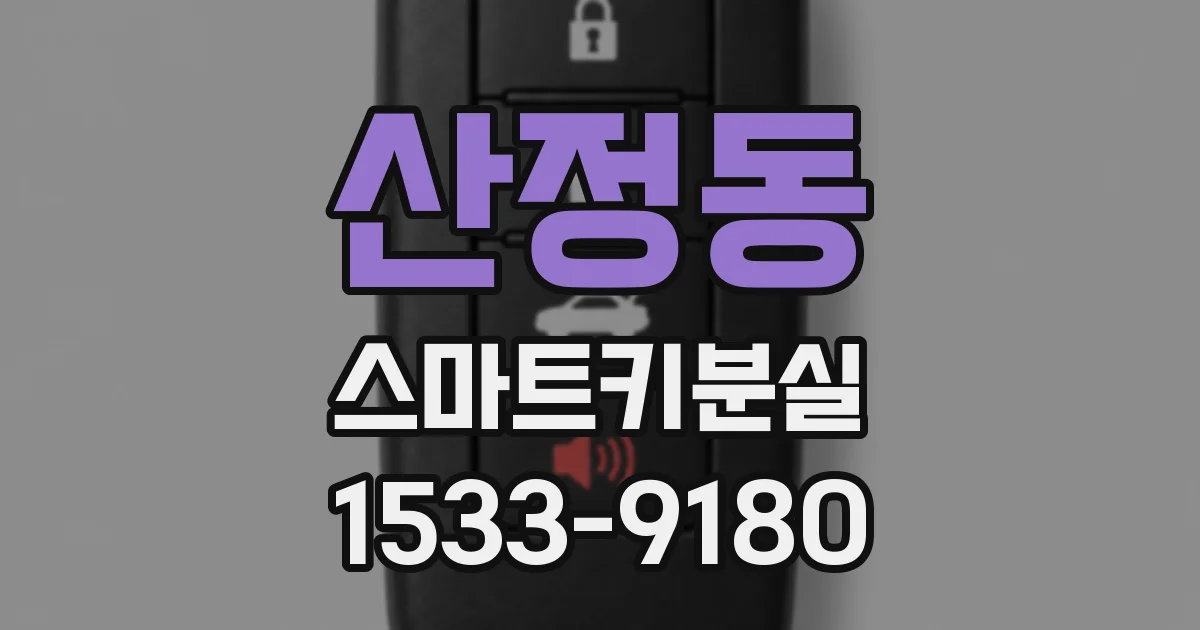 산정동 스마트키분실