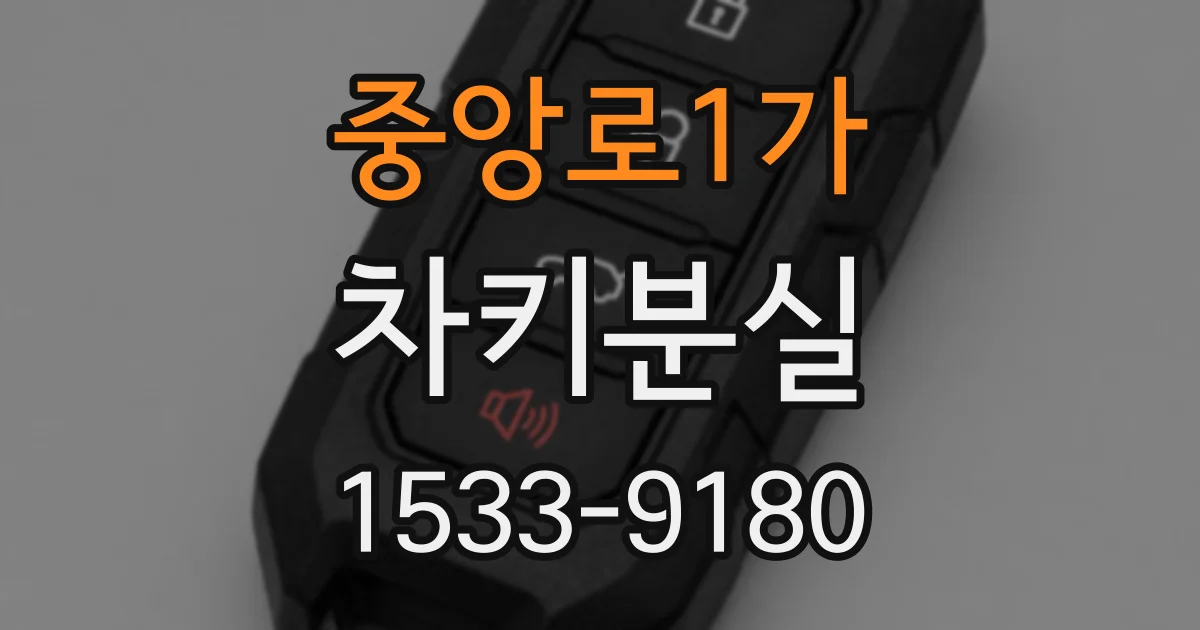 중앙로1가 차키분실
