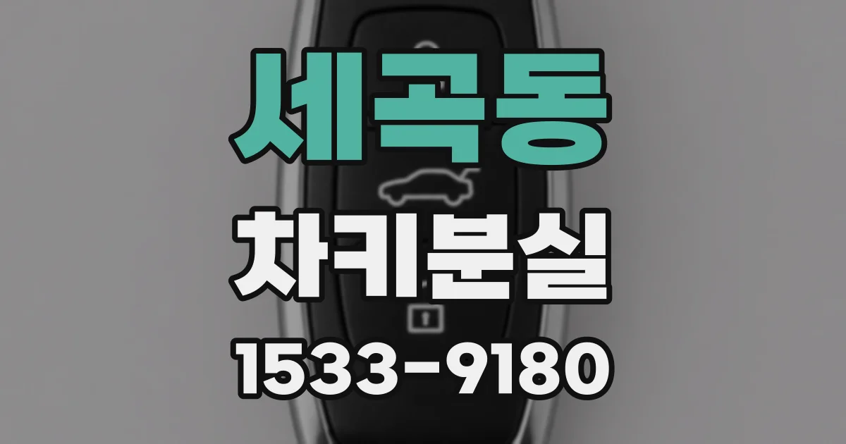 세곡동 차키분실