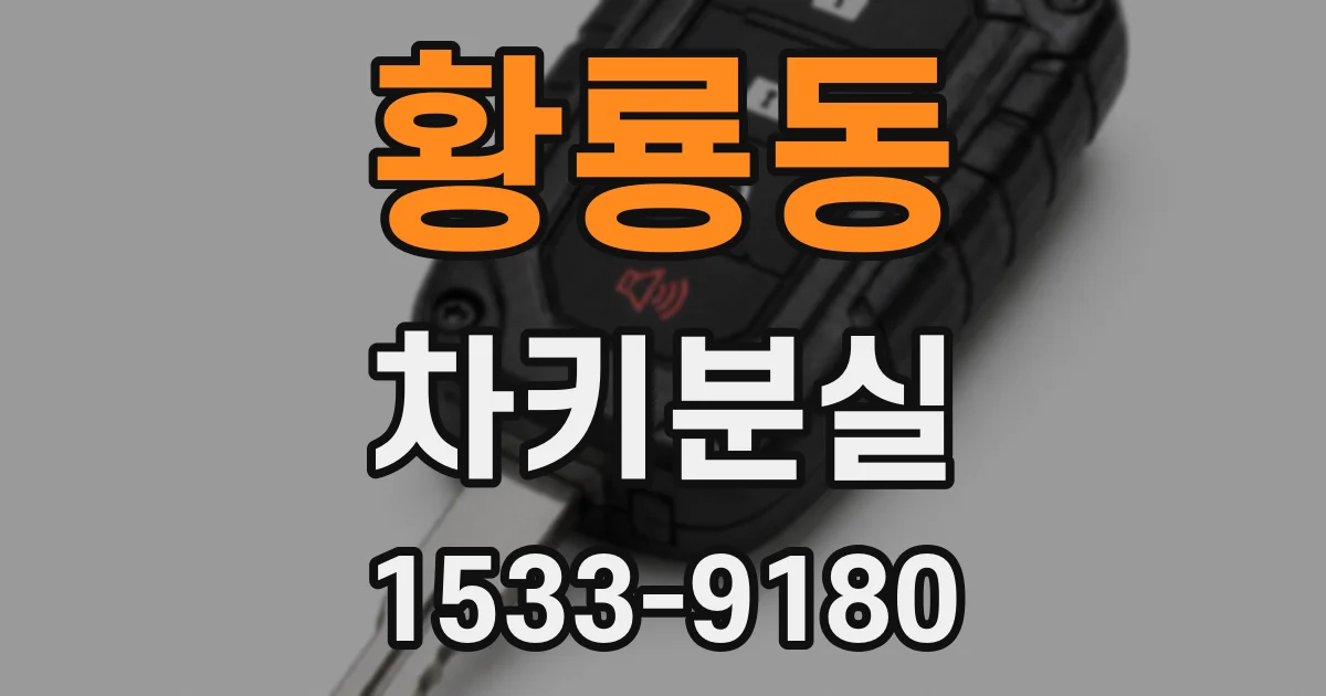 황룡동 차키분실